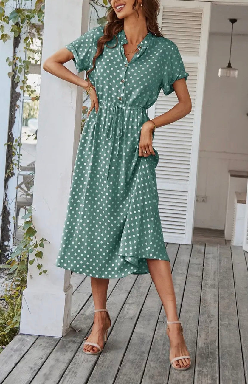 Polka Dot Neck Button Belt Long Dress - Green and Navy