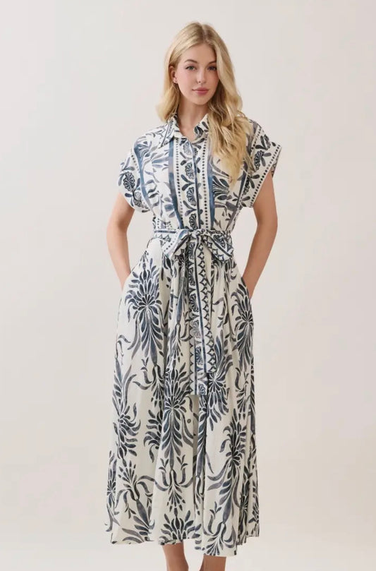 Boarder Print Button Down Maxi Dress - Blue