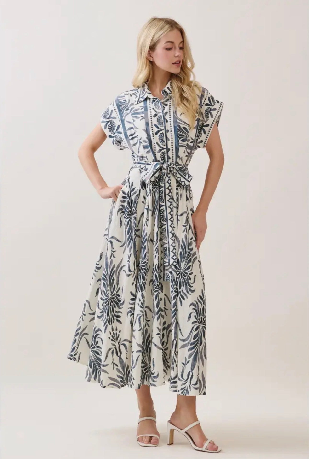 Boarder Print Button Down Maxi Dress - Blue