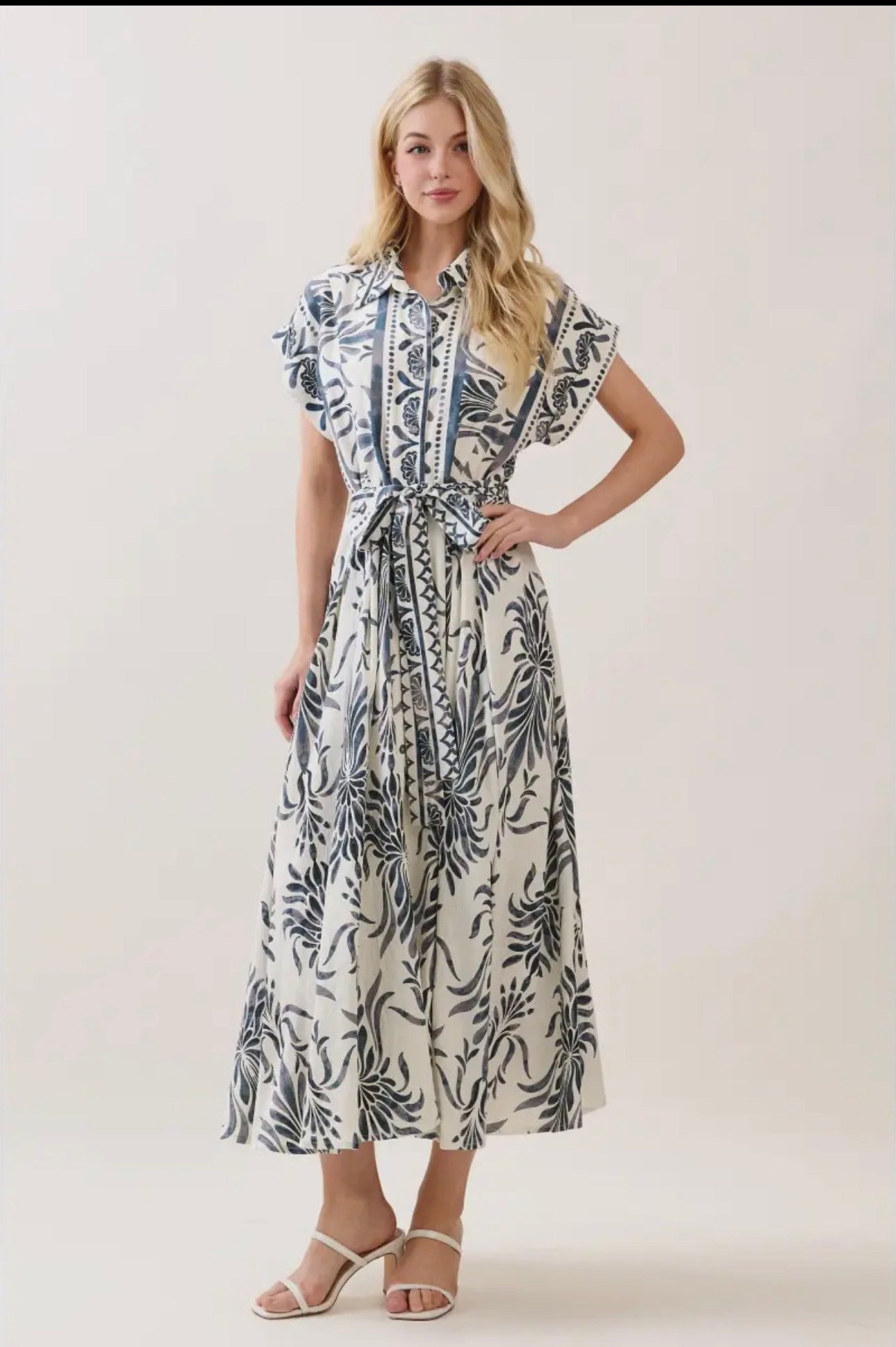 Boarder Print Button Down Maxi Dress - Blue