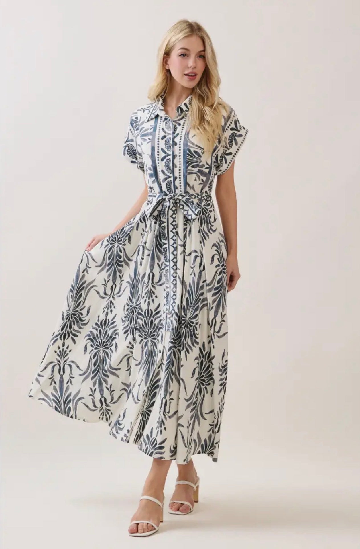 Boarder Print Button Down Maxi Dress - Blue