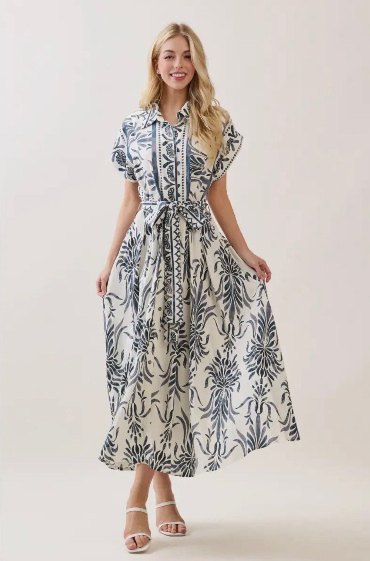 Boarder Print Button Down Maxi Dress - Blue