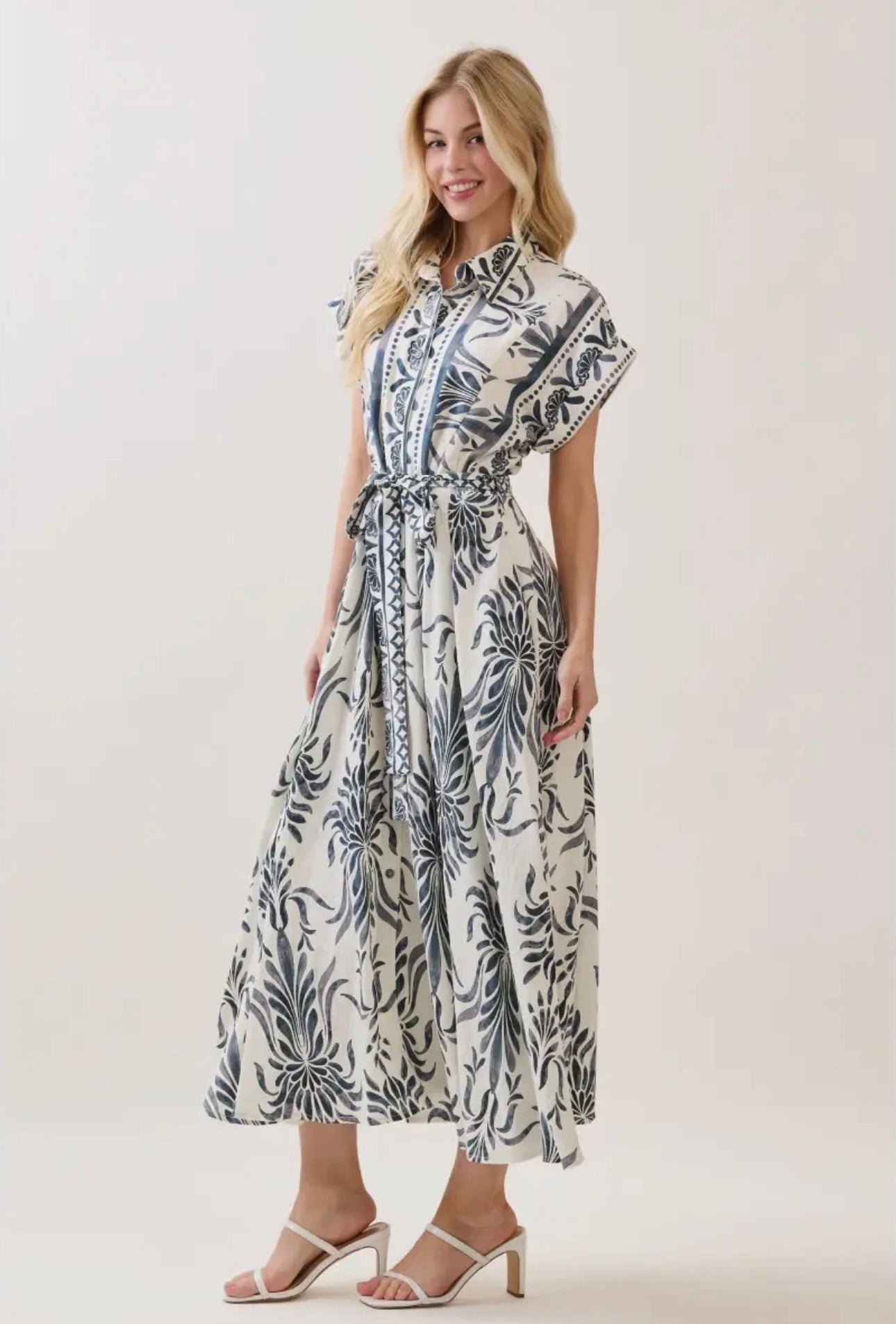 Boarder Print Button Down Maxi Dress - Blue
