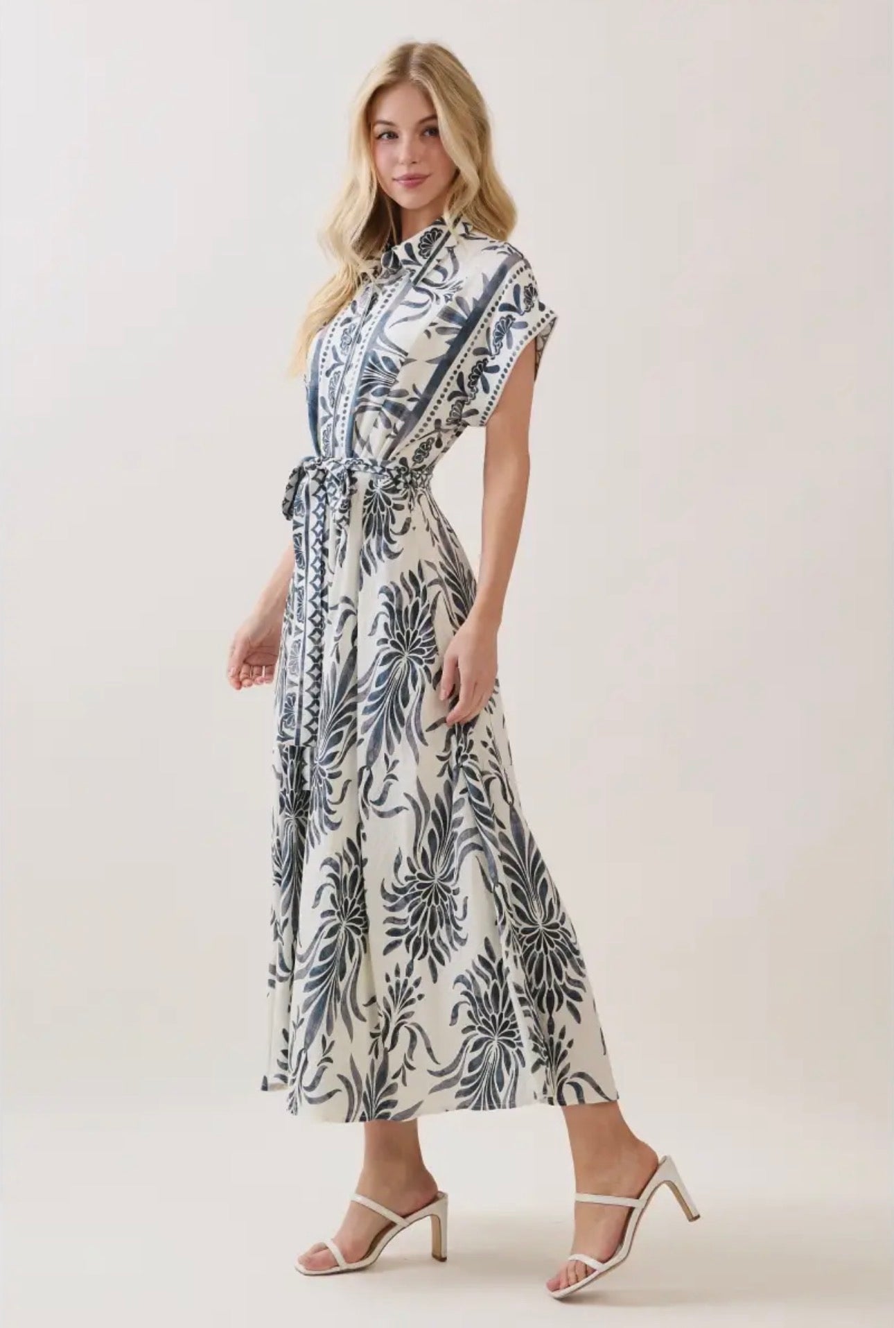 Boarder Print Button Down Maxi Dress - Blue