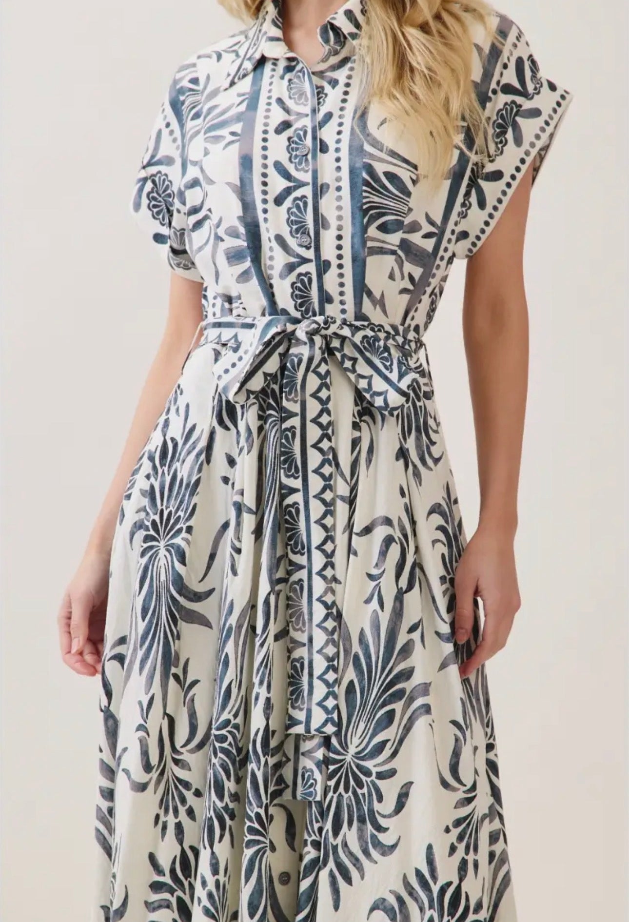 Boarder Print Button Down Maxi Dress - Blue