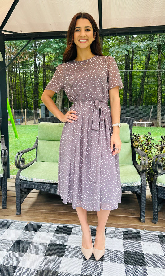 Swiss Dot Round Neck Leaf Swing Dress - Brown